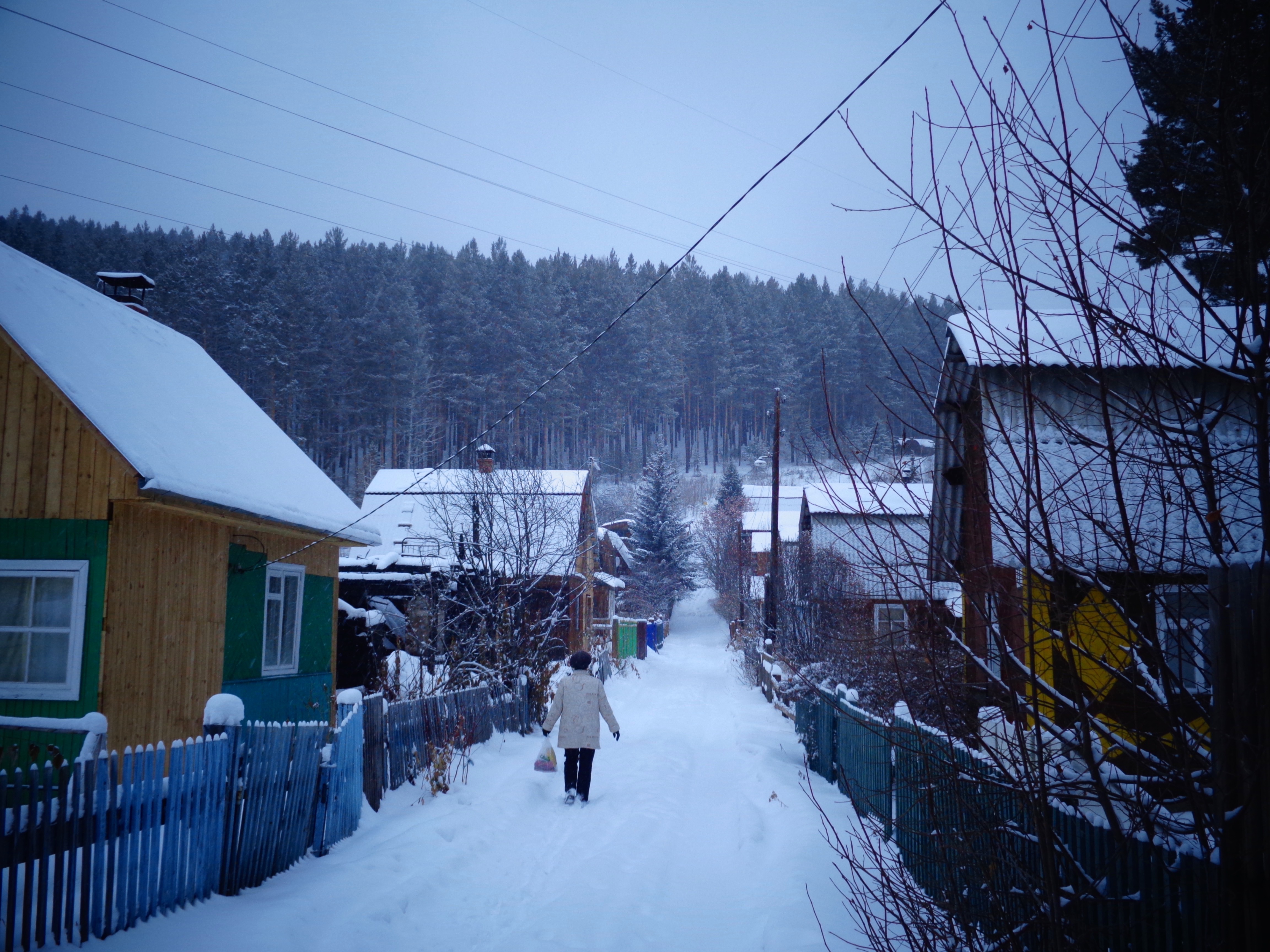 At the Dacha