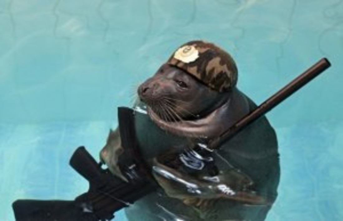 Frost and Thaw in Irkutsk